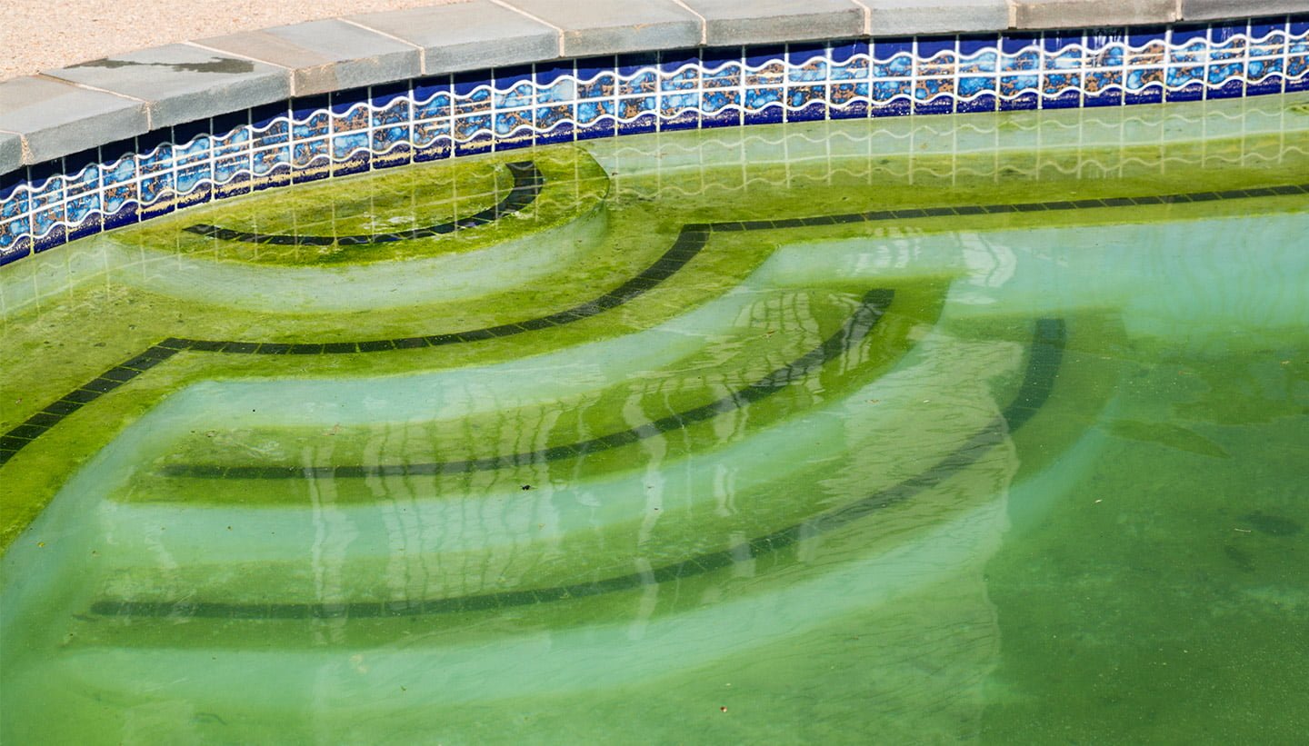 Green pool water with algae buildup on steps and tile in Hawaii