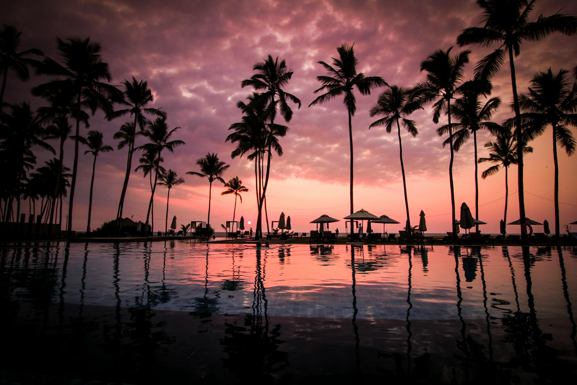 Serene tropical pool with palm trees on a calm day