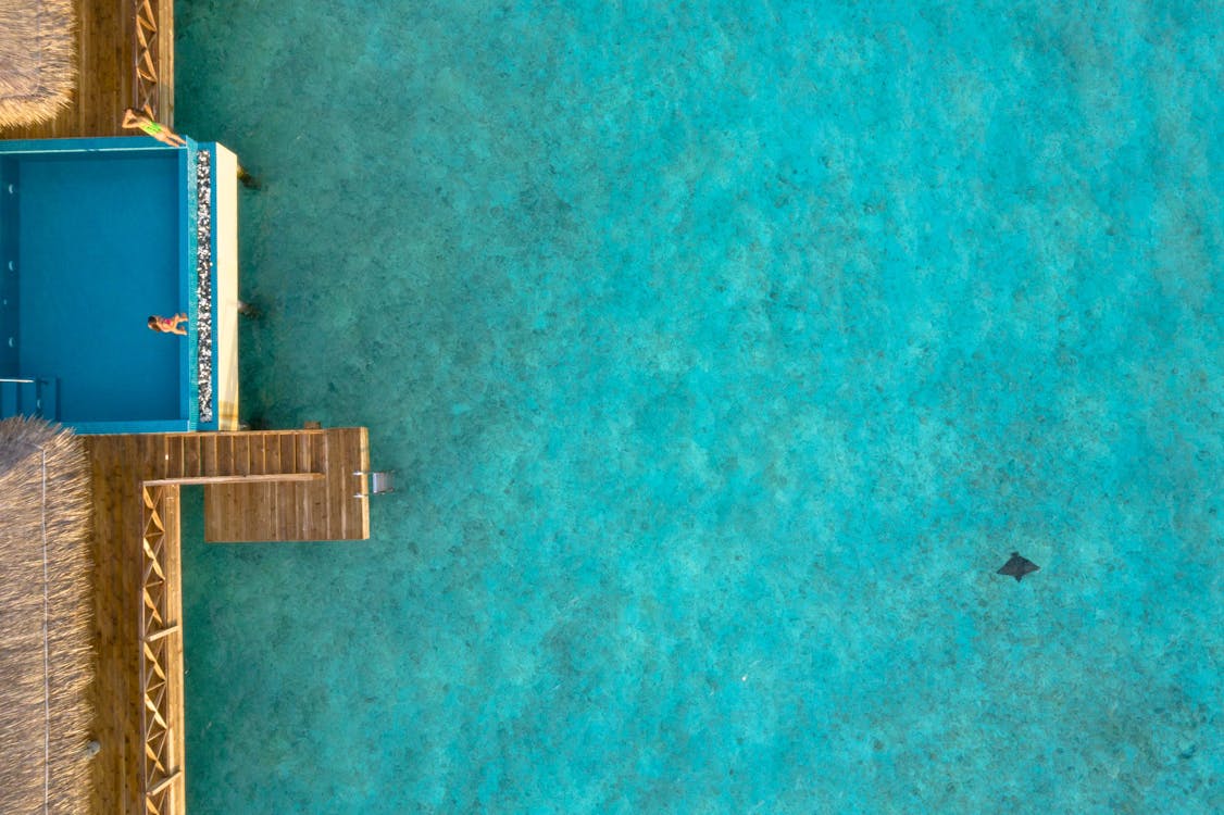Luxury backyard pool surrounded by tropical landscaping in Hawaii