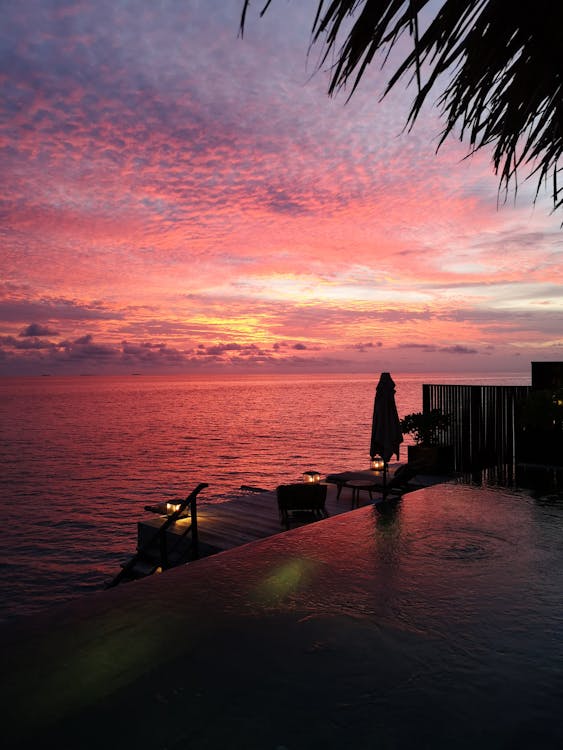 Serene tropical pool with clear water and lush greenery